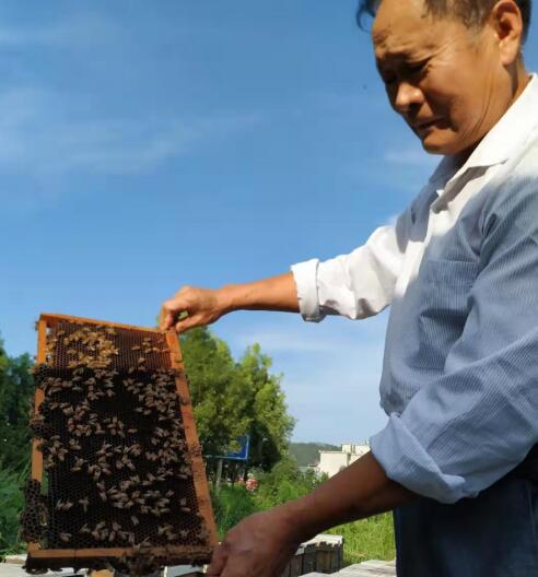 余天和 荣获由历晨网络科技主办“中医康复理疗专